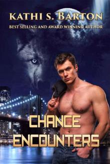 Chance Encounters Read online