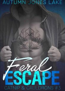 Feral Escape: Catnip & Cauldrons, Book #3 Read online