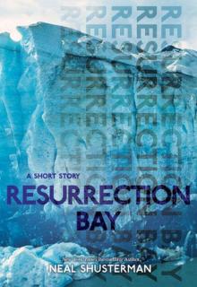 Resurrection Bay Read online