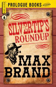 Silvertip's Roundup Read online