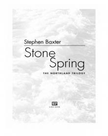 Stone Spring Read online