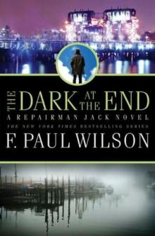 The Dark at the End rj-15 Read online