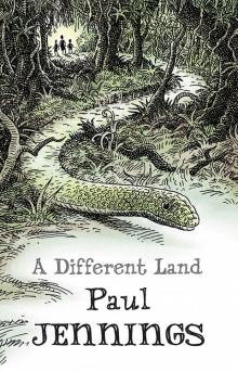 A Different Land Read online