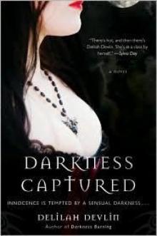 Darkness Captured: A Novel Read online