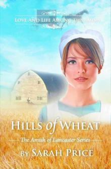Hills of Wheat: The Amish of Lancaster Read online
