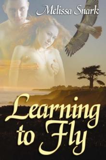 Learning To Fly Read online