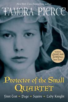 Protector of the Small Quartet Read online