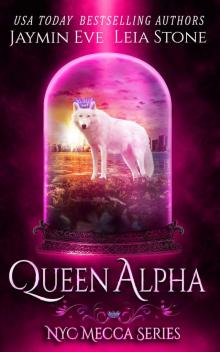Queen Alpha (NYC Mecca Series Book 2) Read online