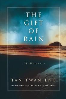 The Gift of Rain: A Novel Read online