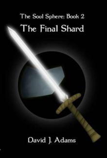 The Soul Sphere: Book 02 - The Final Shard Read online