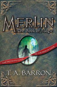 Merlin: The Book of Magic Read online