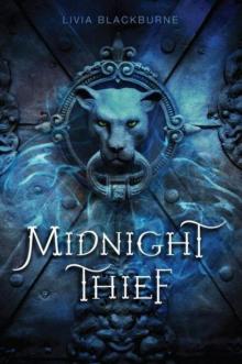 Midnight Thief Read online