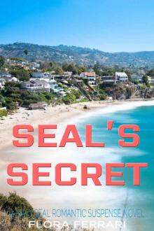 SEAL's Secret: A Navy SEAL Romantic Suspense Novel (A Man Who Knows What He Wants Book 24) Read online