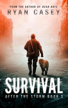 Survival (After the Storm Book 3) Read online