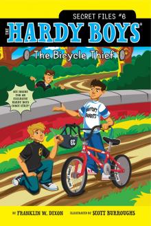 The Bicycle Thief Read online