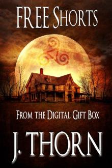 The FREE Digital Gift Box - Short Stories Read online