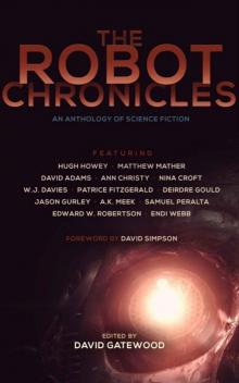 The Robot Chronicles Read online