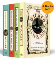The Wicked Years Complete Collection Read online