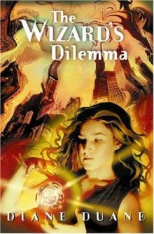 The Wizard's Dilemma Read online