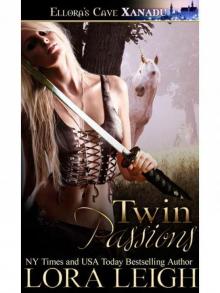 Twin Passions: 3 Read online
