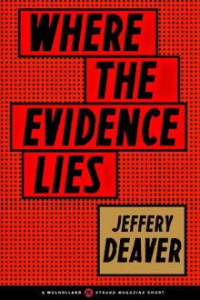 Where the Evidence Lies Read online