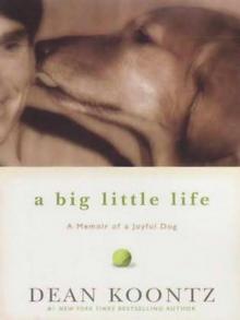 A Big Little Life Read online