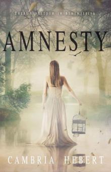 Amnesty: Amnesia Duet Book 2 Read online