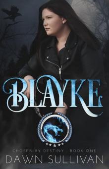Blayke Read online
