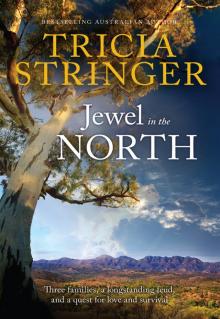 Jewel In the North Read online