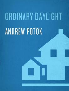 Ordinary Daylight Read online