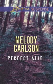 Perfect Alibi Read online