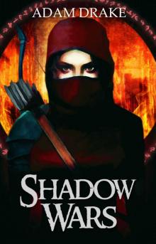 Shadow Wars: LitRPG (Shadow For Hire) Read online