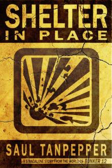 Shelter in Place: A short story from the world of BUNKER 12 Read online