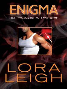 Enigma: Prologue to Live Wire Read online