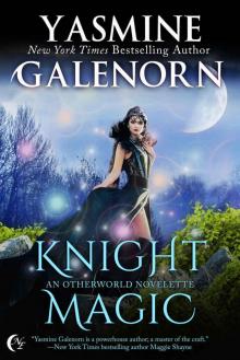 Knight Magic Read online