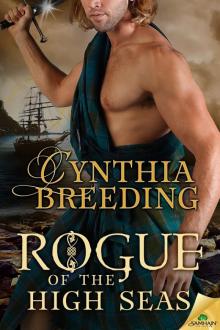 Rogue of the High Seas Read online