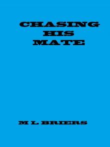 Chasing His Mate Read online