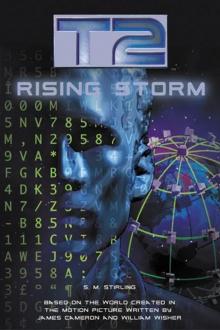 Rising Storm t2-2 Read online