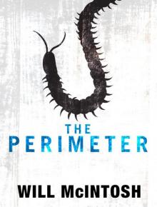 The Perimeter Read online