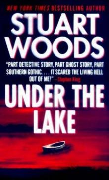 Under the Lake Read online