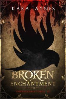 Broken Enchantment (Unbreakable Force Book 3) Read online