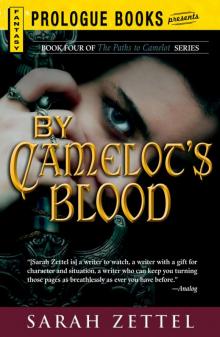 Camelot's Blood Read online