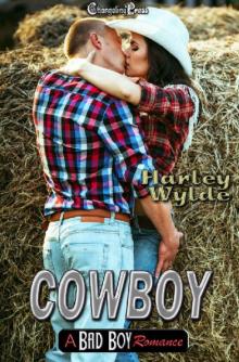 Cowboy (A Bad Boy Romance 4) Read online