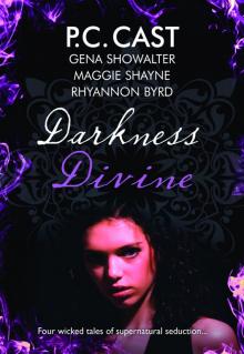 Darkness Divine Read online