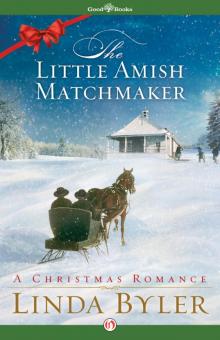 Little Amish Matchmaker Read online
