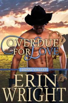 Overdue for Love - A Long Valley Romance: Country Western Small Town Romance Novella Read online