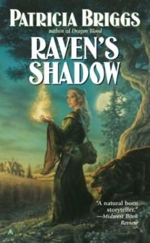 Raven's Shadow rd-1 Read online