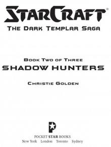 Shadow Hunters Read online