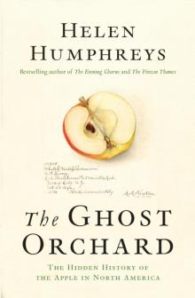 The Ghost Orchard Read online