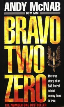 Bravo two zero Read online